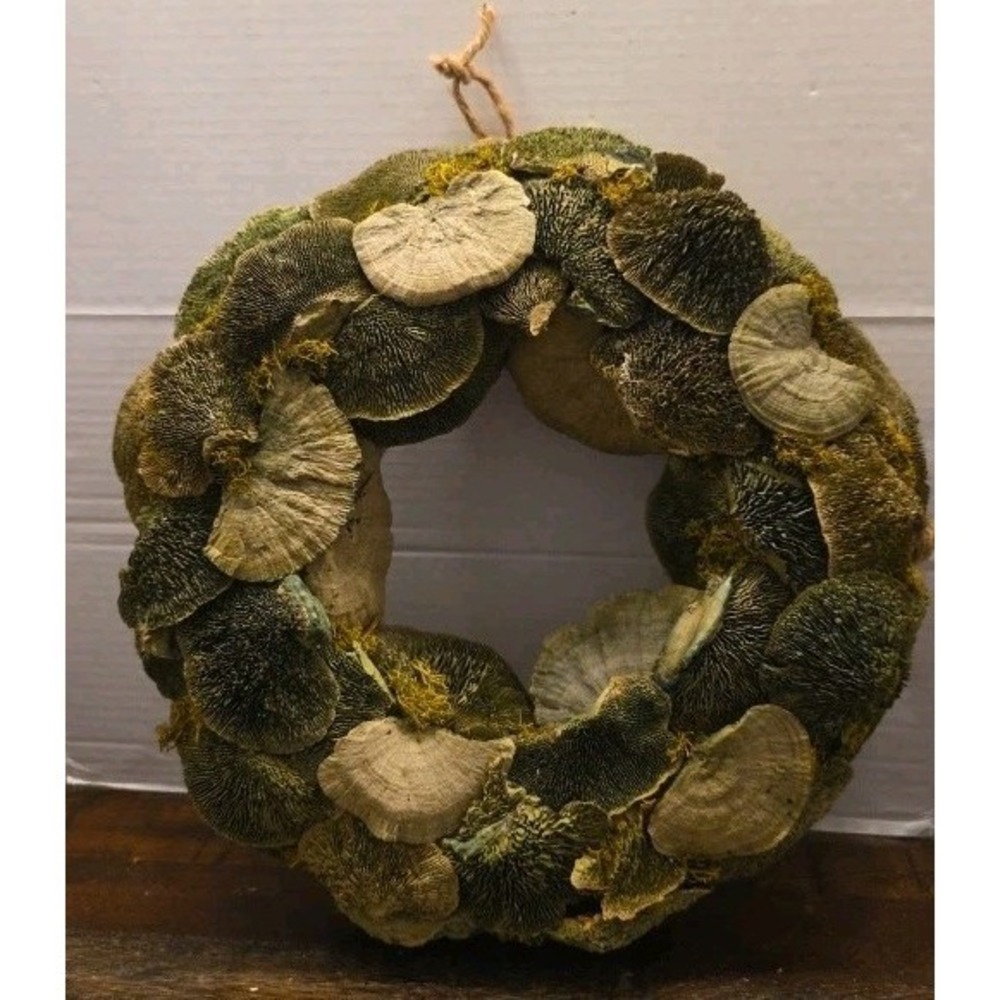 Natural Preserved Mushroom Wreath Dried Conk Fungi Moss Woodland Cottagecore